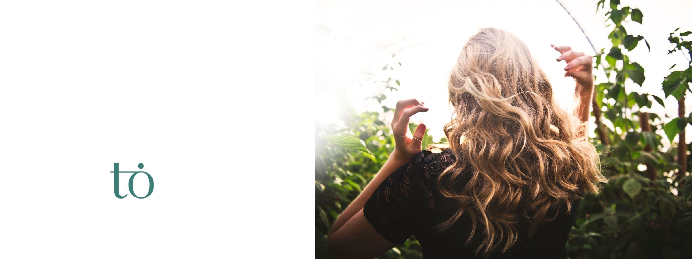 True One banner with logo 